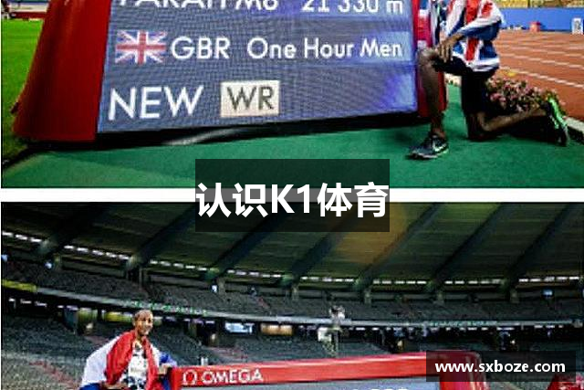 认识K1体育